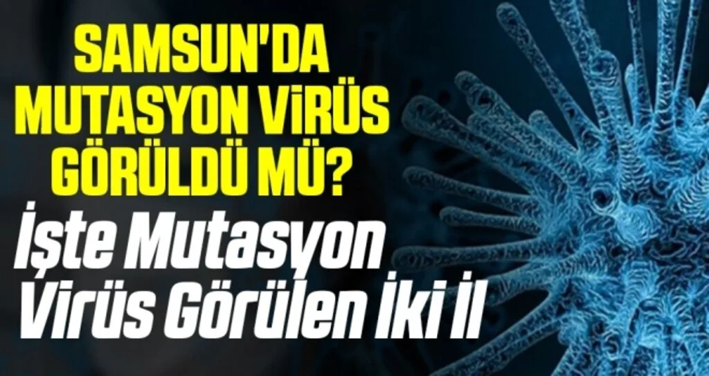 Samsun'da Mutasyon Virüs Görüldü Mü? İşte Mutasyon Virüs Görülen İki İl