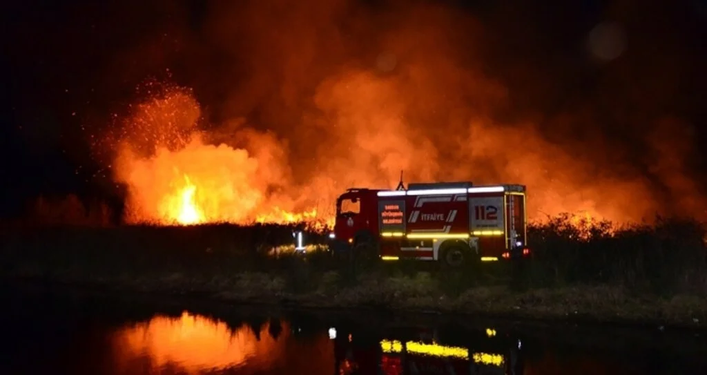 Samsun’da sazlık yangını