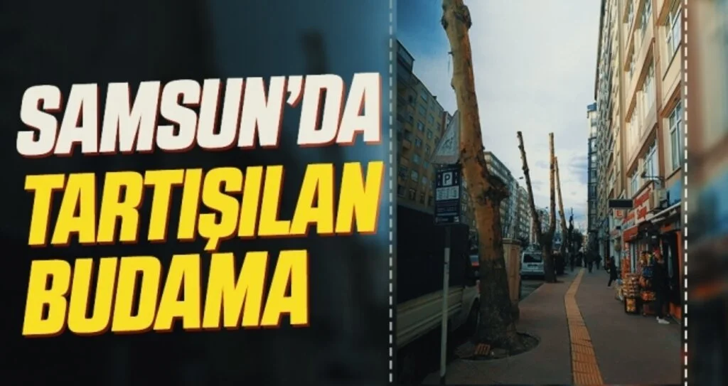 Samsun'da Tartışılan Budama