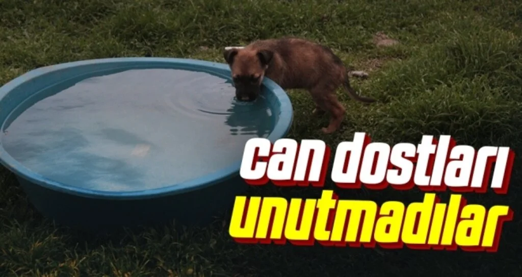 Sevdamız Samsun can dostları unutmadı