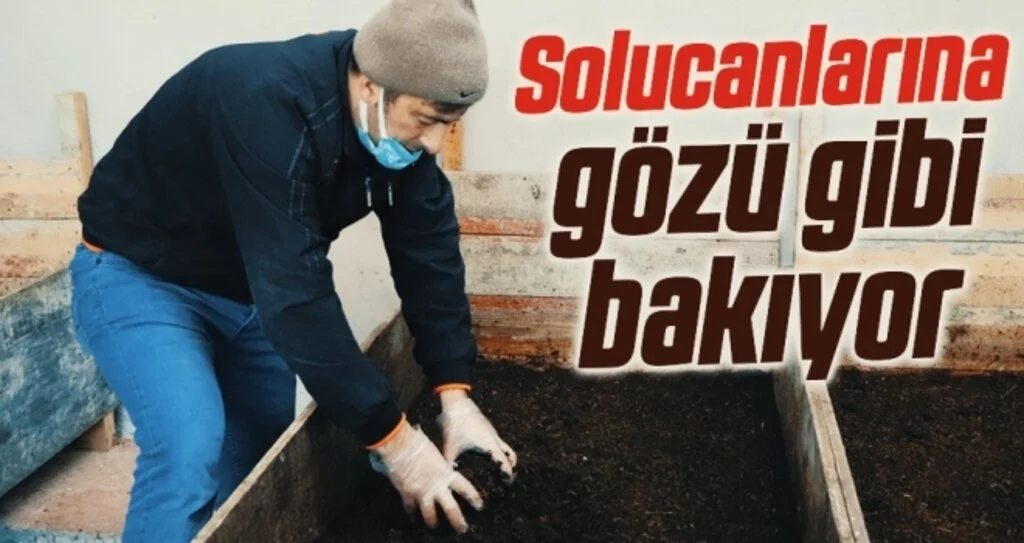 Solucanlarına gözü gibi bakıyor