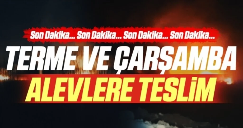 Son Dakika... Terme ve Çarşamba Alevlere Teslim