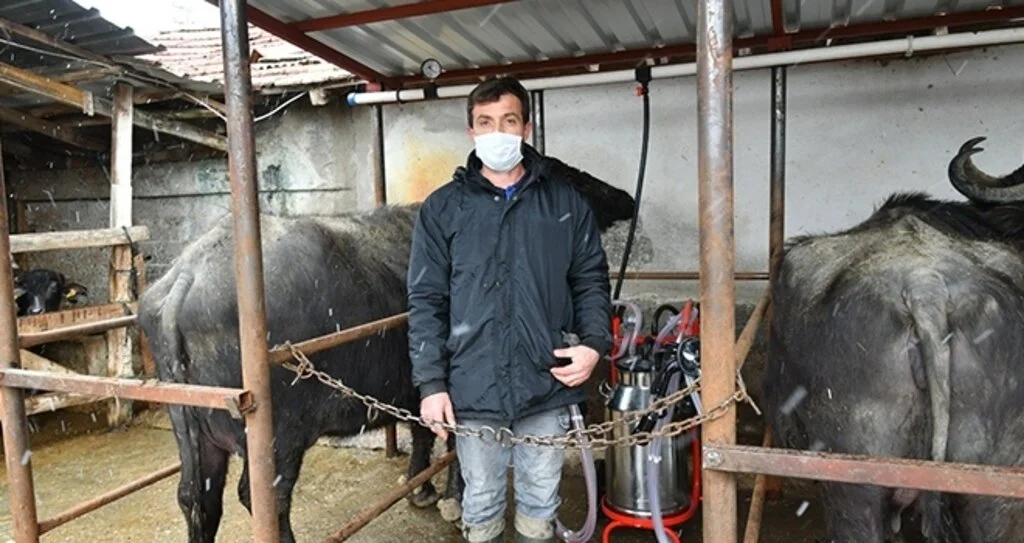 Süt üreticilerin yüzü güldü
