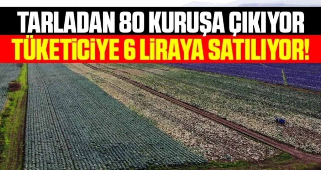 Tarladan 80 Kuruşa Çıkıyor Tüketiciye 6 Liraya Satılıyor!
