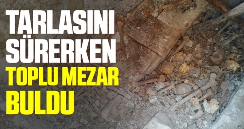 Tarlasını sürerken toplu mezar buldu
