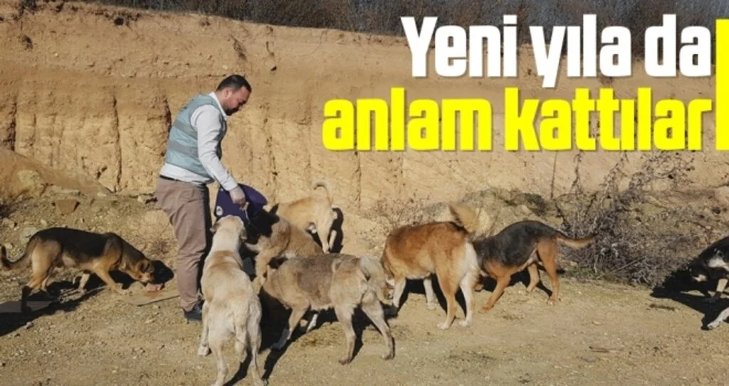 Yeni yıla da anlam kattılar