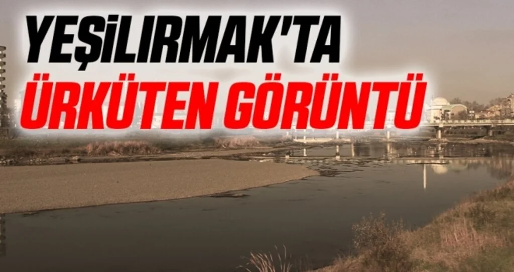 Yeşilırmak'ta Ürküten Görüntü