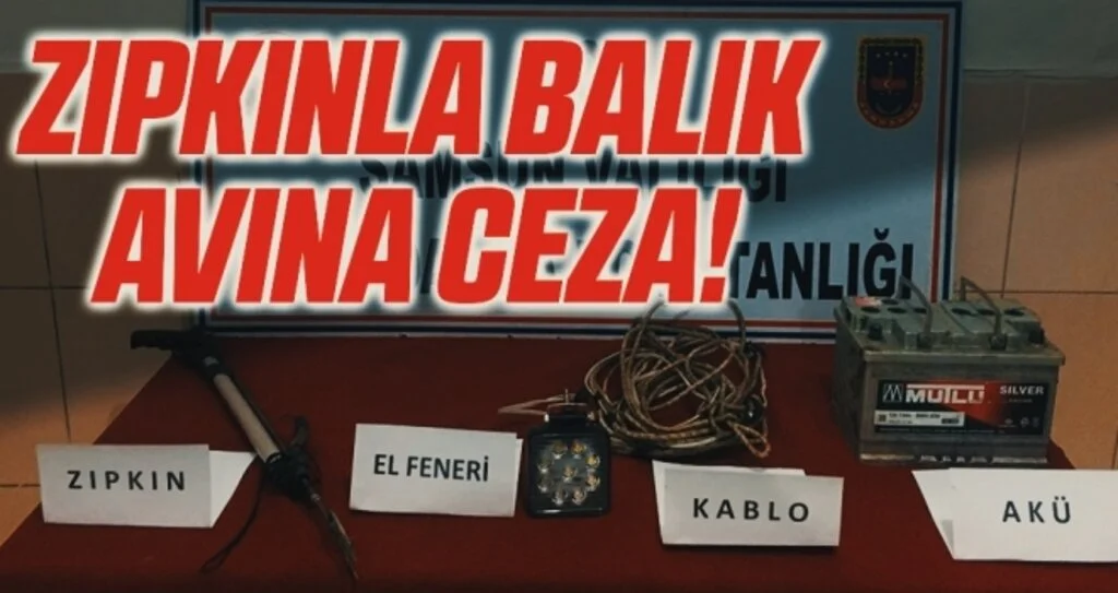 Zıpkınla balık avına idari işlem