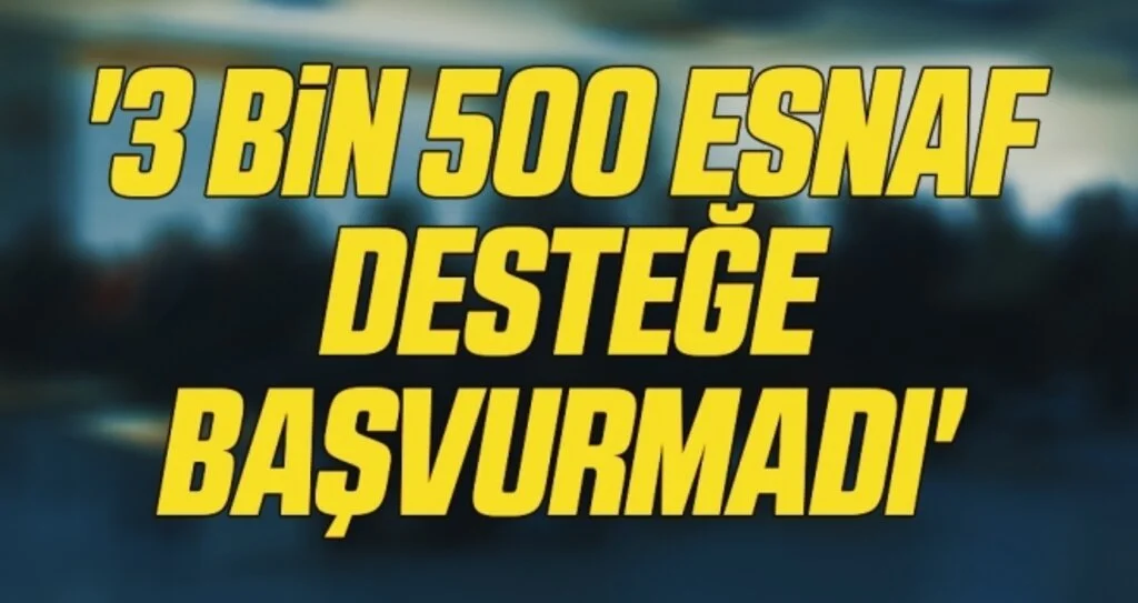 '3 bin 500 esnaf desteğe başvurmadı' 