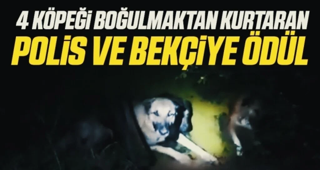 4 köpeği boğulmaktan kurtaran polis ve bekçiye ödül