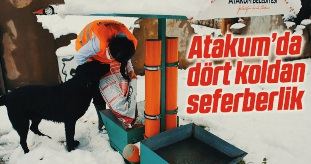 Atakum’da dört koldan seferberlik 