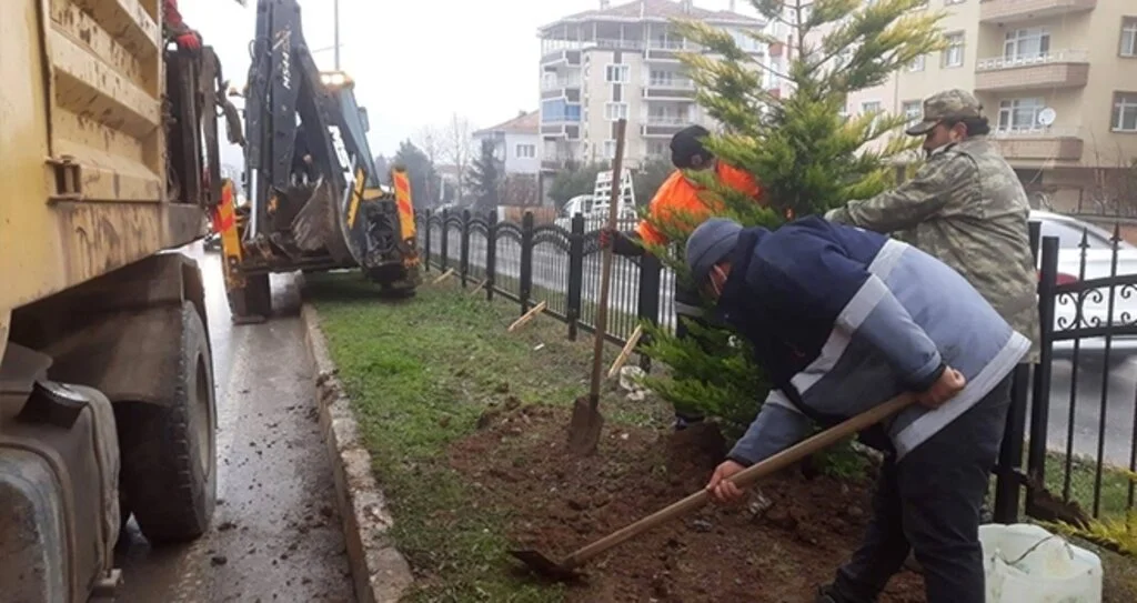 Bafra'da peyzaj  çalışmaları sürüyor