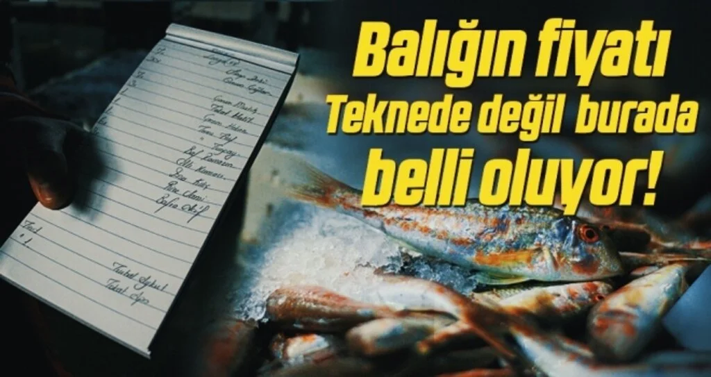 Balık mezatında kıran kırana pazarlık
