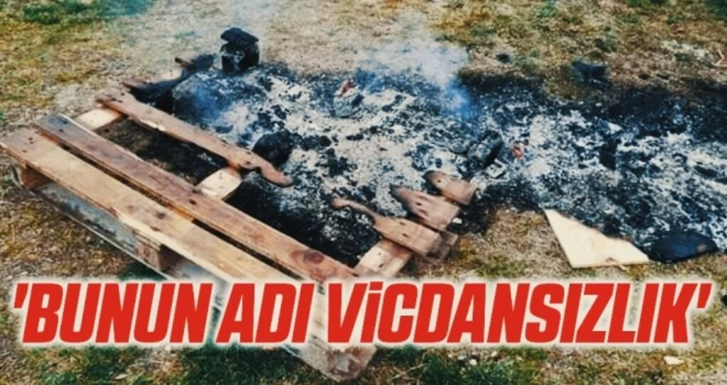 'Bunun Adı Vicdansızlık' Samsun'da Barınaklar Ateşe Verildi!