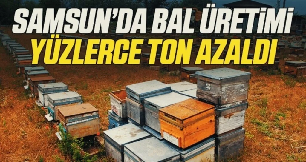 Büyükbaş ve küçükbaş hayvan sayıları artarken bal üretimi düştü