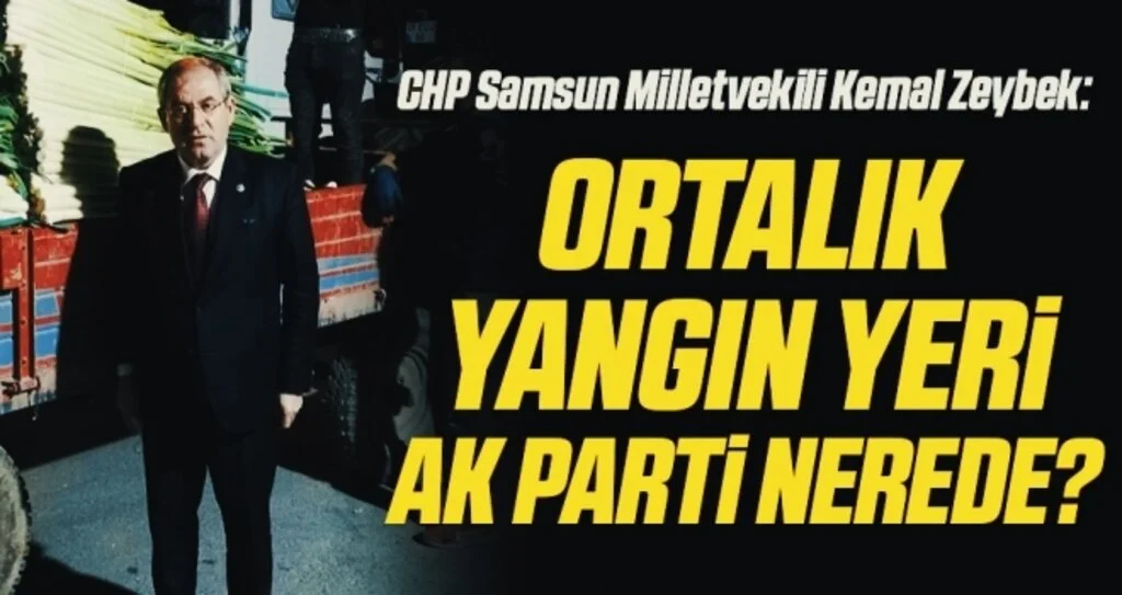 CHP Samsun Milletvekili Kemal Zeybek: Ortalık yangın yeri AK Parti nerede?