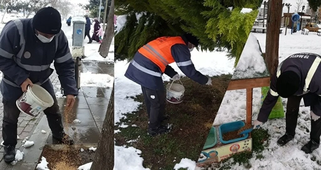 Doğaya kuşlar için yem, sokak hayvanları için mama
