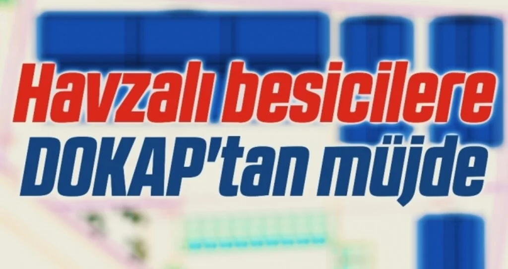 Havzalı besicilere DOKAP'tan müjde