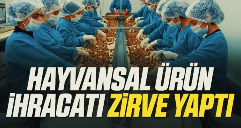 Hayvansal ürün ihracatı zirve yaptı