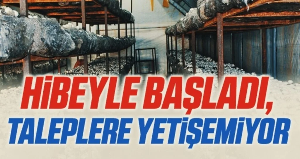 Hibeyle başladı, taleplere yetişemiyor