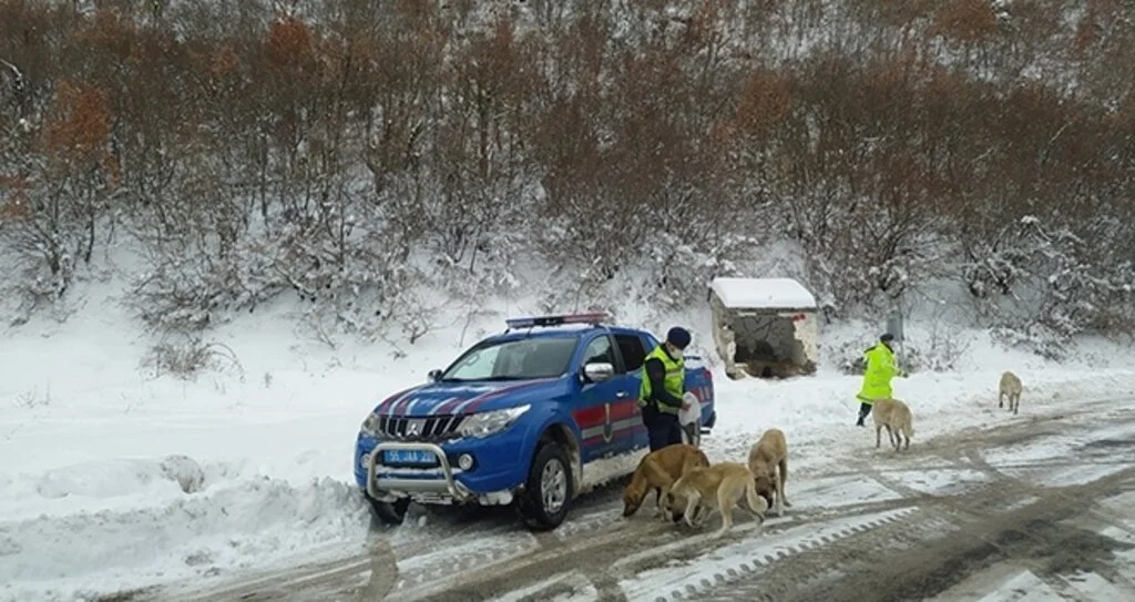 Jandarma can dostları unutmadı
