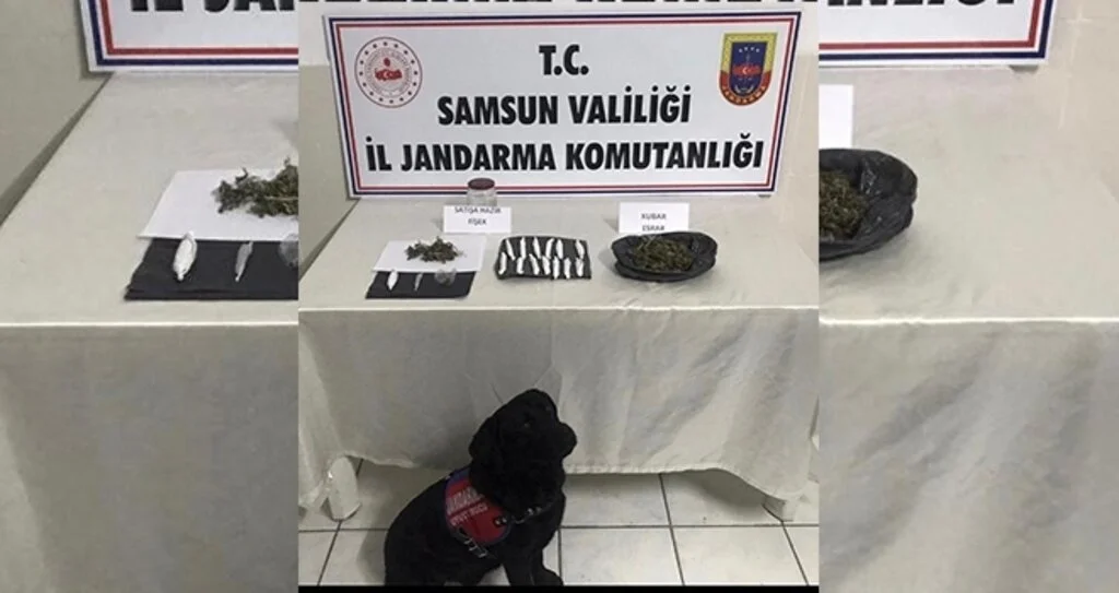Jandarmadan uyuşturucuya geçit yok