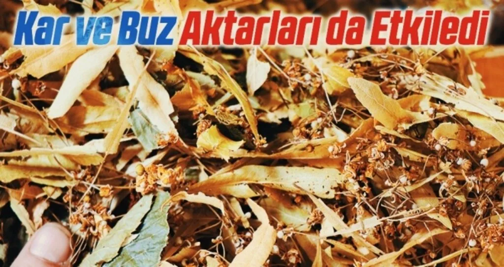 Kar ve Buz Aktarları da Etkiledi