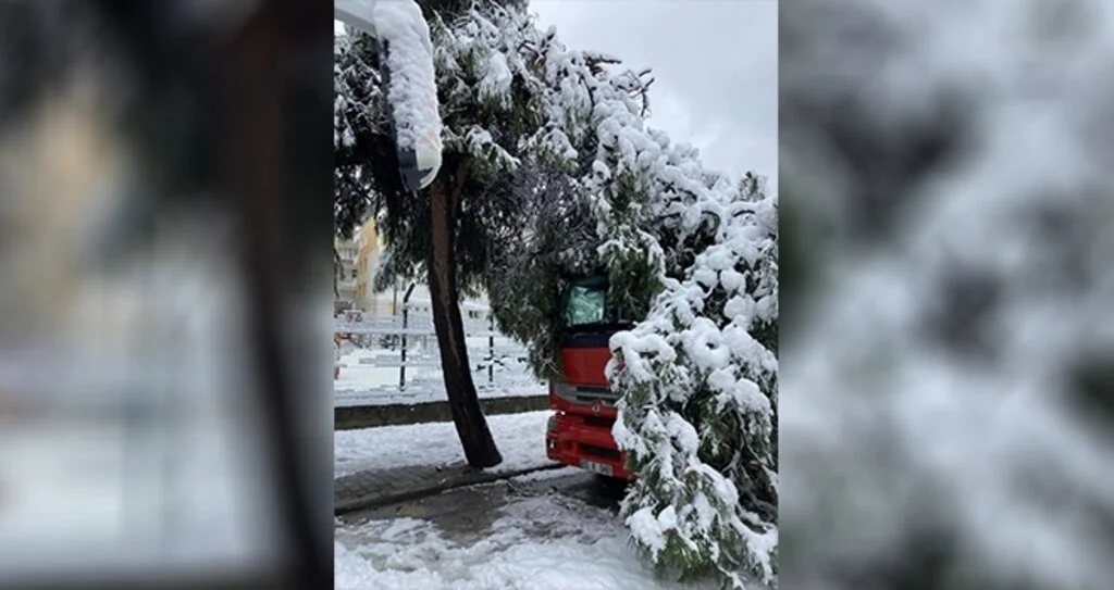 Kar yağışı ağacı devirdi 