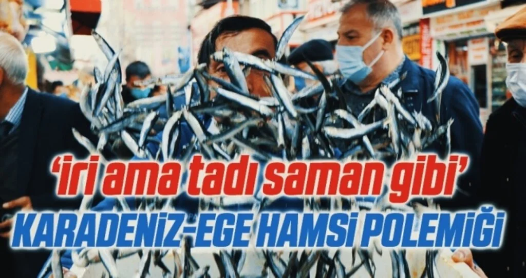 Karadeniz-Ege hamsi polemiği