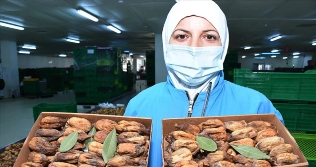 Kuru incir üreticileri 2021'den umutlu