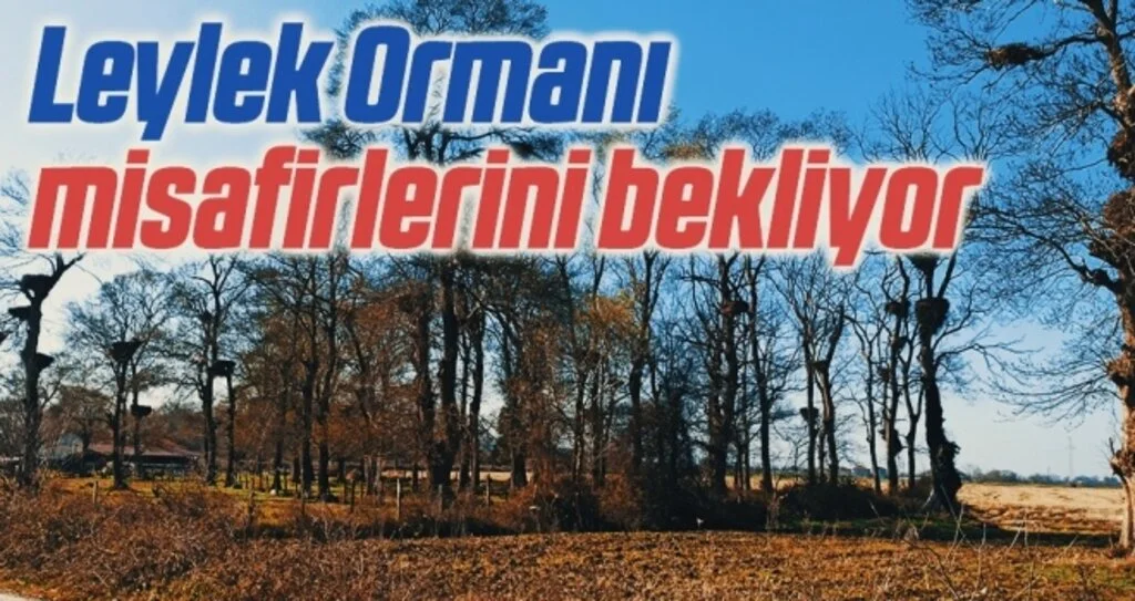 Leylek Ormanı misafirlerini bekliyor