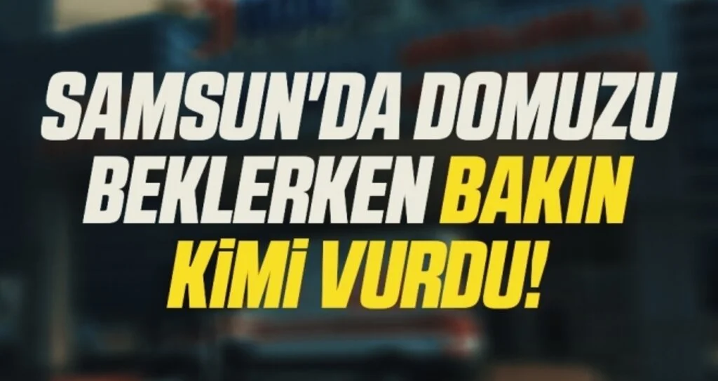 Samsun'da Domuzu Beklerken Bakın Kimi Vurdu!