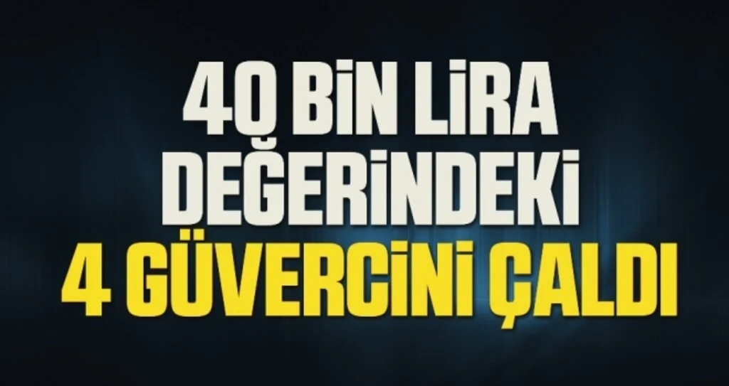 Samsun'da hırsız 40 bin lira değerindeki 4 güvercini çaldı