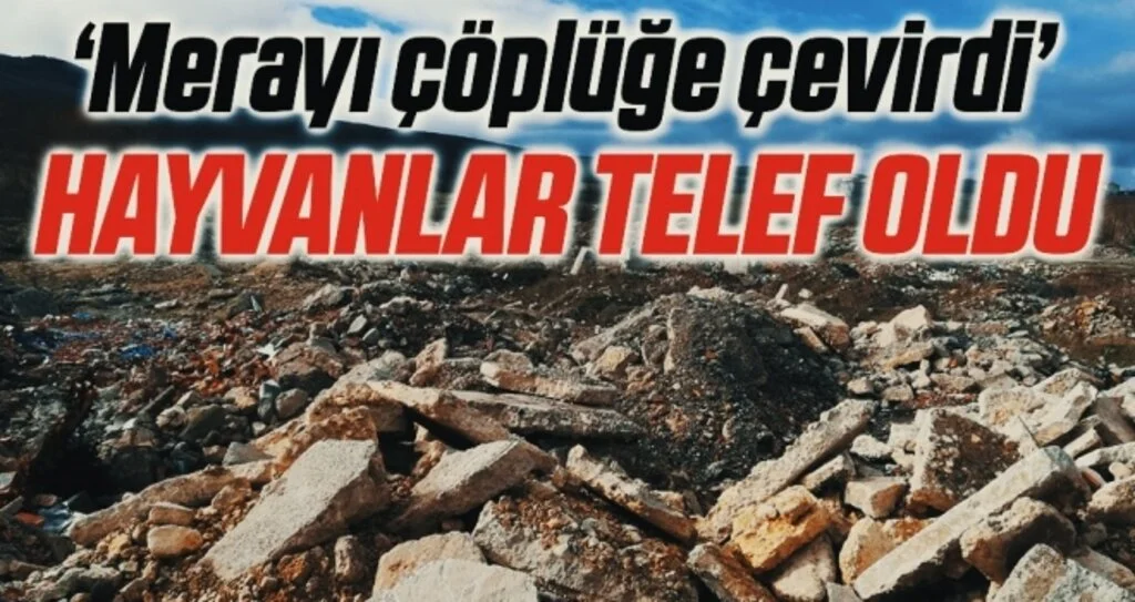 Samsun'da Mera Alanına Atılan Çöp ve Molozlar Hayvanları Zehirledi İddiası!