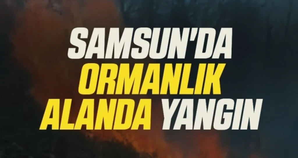 Samsun'da ormanlık alanda yangın
