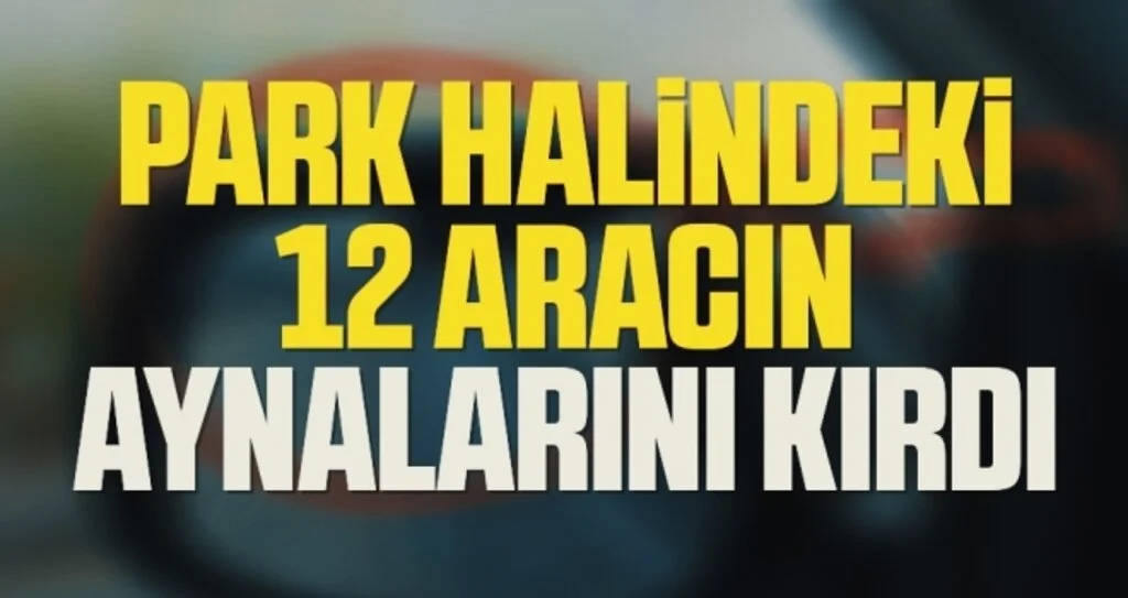Samsun'da Park halindeki 12 aracın aynalarını kırdı