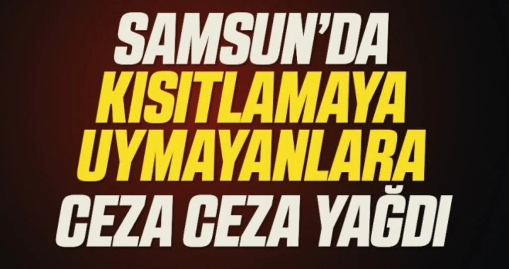 Samsun'da sokağa çıkma kısıtlamasına uymayan 154 kişiye 323 bin lira ceza kesildi