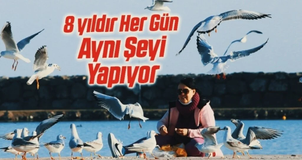 Samsunlu hayvansever kadın 8 yıldır her sabah işe gitmeden önce hayvanları besliyor