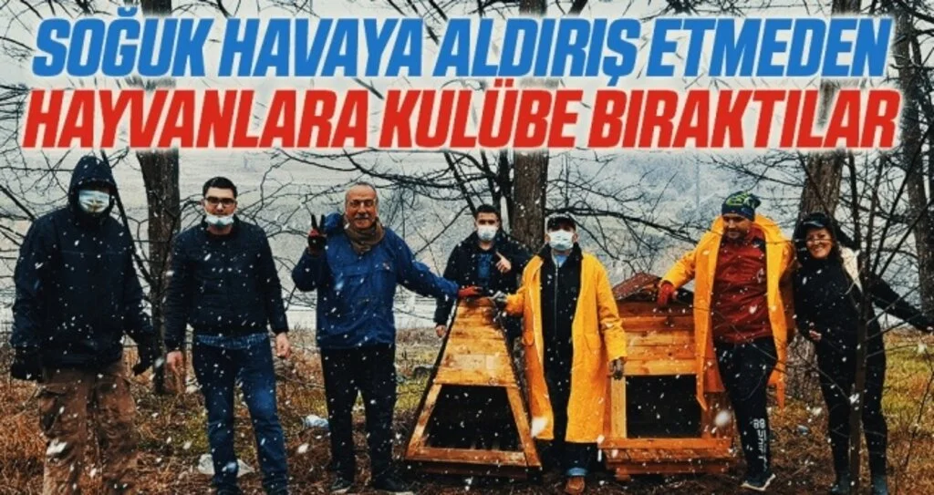 Soğuk havaya aldırış etmeden hayvanlara kulübe bıraktılar