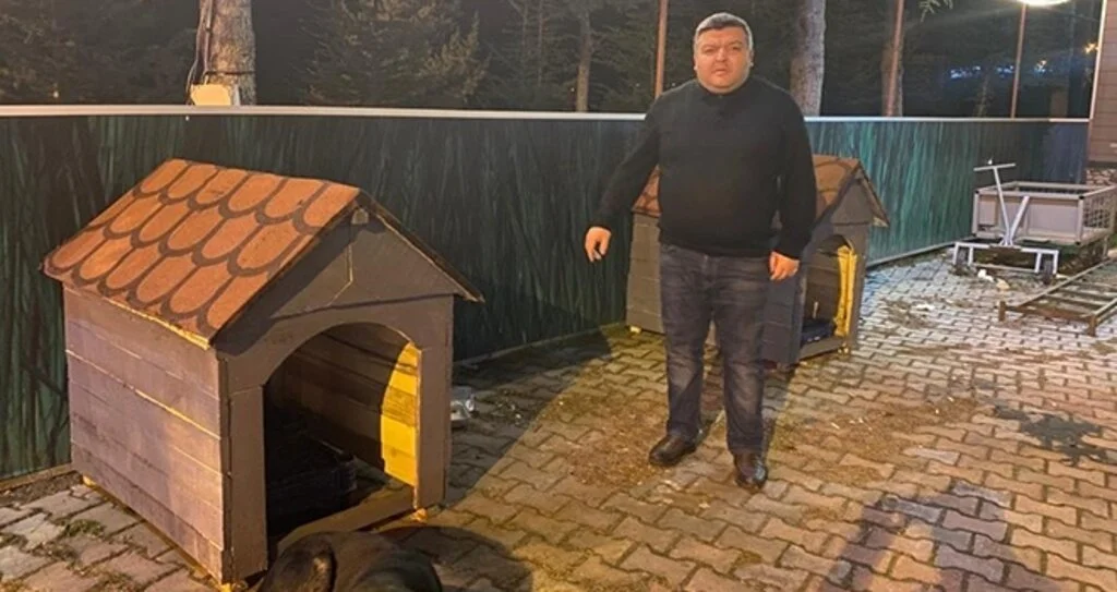 Sokak hayvanları için kulübe yaptı