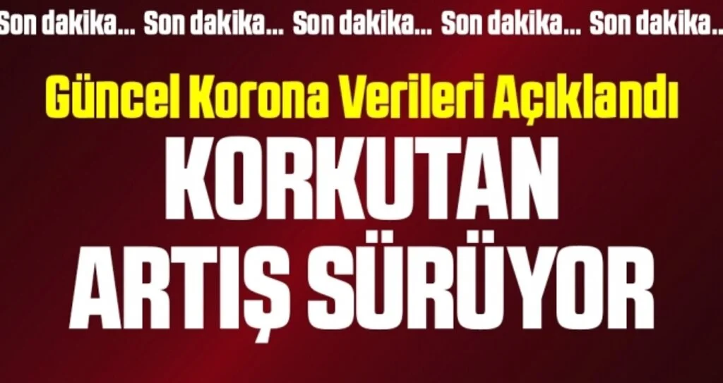 Son dakika… Güncel corona verileri açıklandı! İşte 24 Şubat vaka tablosu