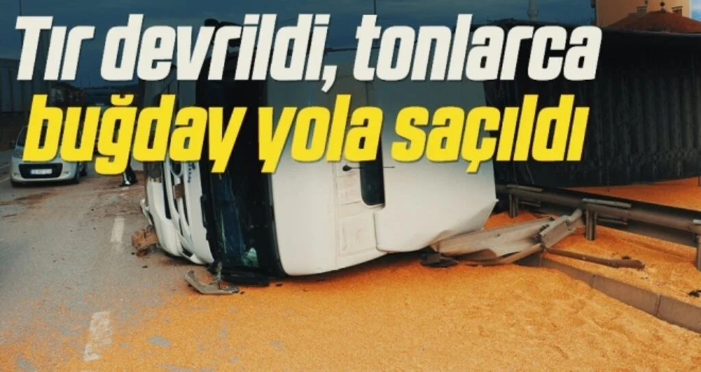 Tır devrildi, tonlarca buğday yola saçıldı