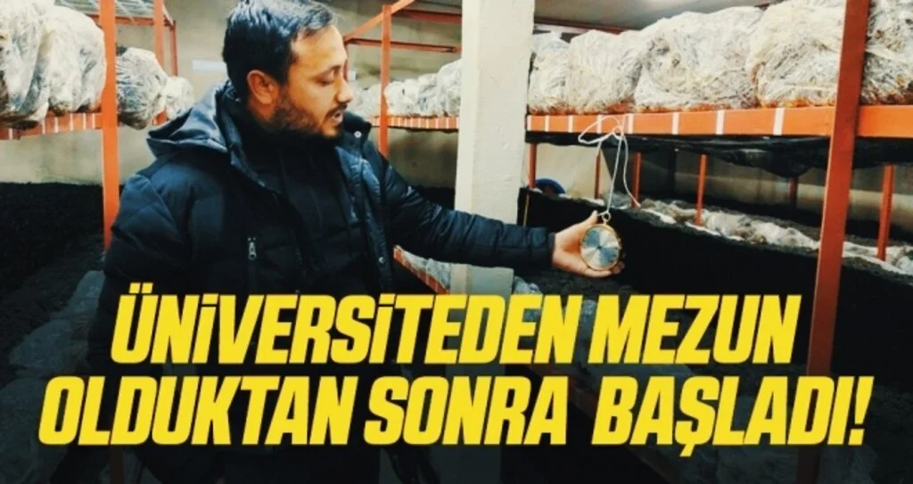 Üniversiteden mezun oldu, mantar üretimine başladı