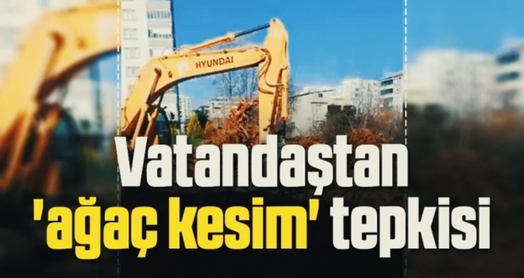 Vatandaştan 'ağaç kesim' tepkisi 