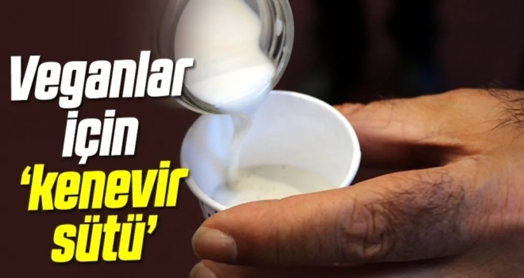 Veganlar için ‘kenevir sütü’