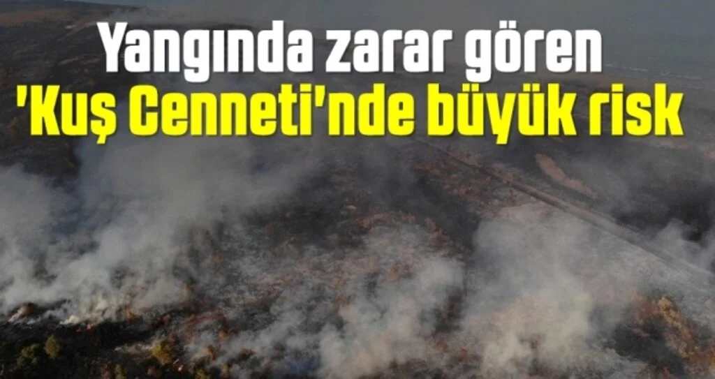 Yangında zarar gören 'Kuş Cenneti'nde büyük risk