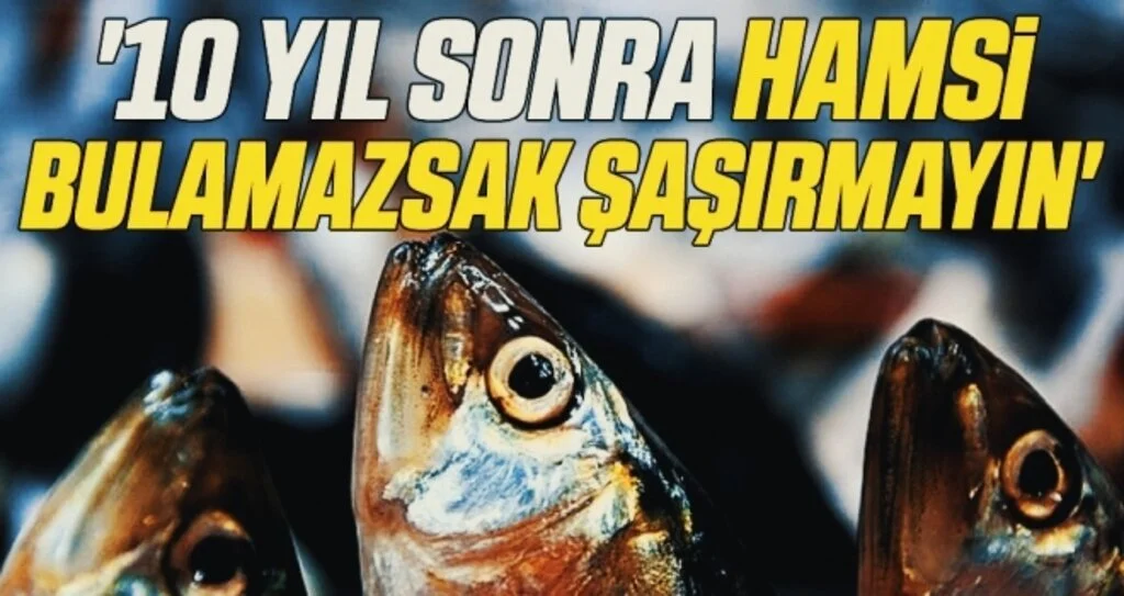 '10 yıl sonra hamsi bulamazsak şaşırmayın'