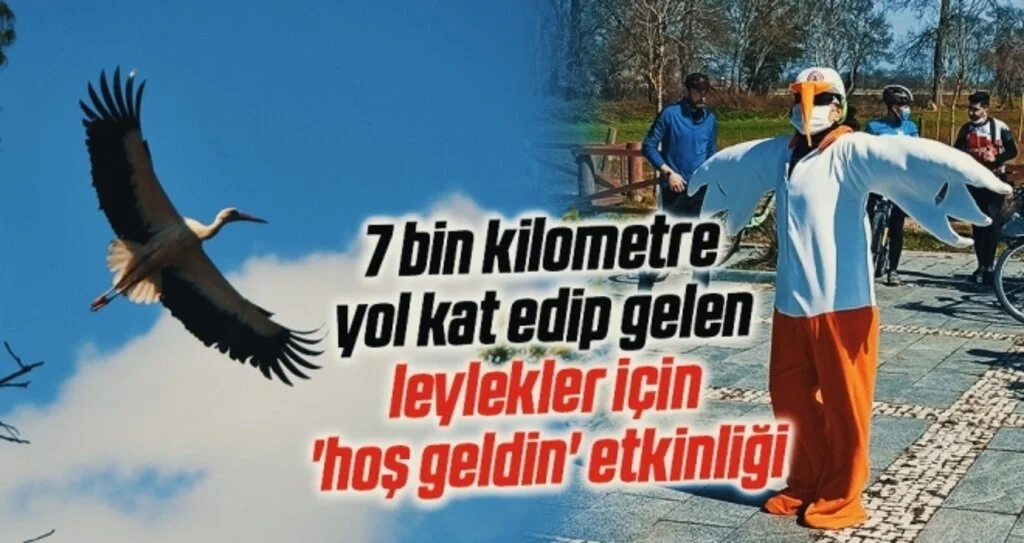 7 bin kilometre yol kat edip gelen leylekler için 'hoş geldin' etkinliği
