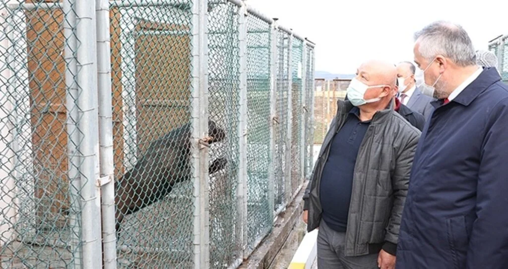 Başkan Kılıç: 'Can dostlar bize emanet'
