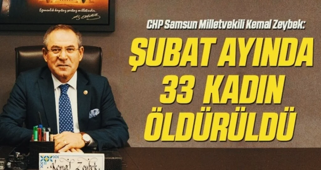 CHP Samsun Milletvekili Kemal Zeybek: Şubat ayında 33 kadın öldürüldü